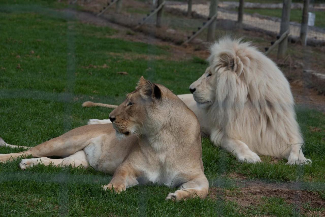 Tenikwa Wildlife Centre & Spa Plettenberg Bay Luaran gambar