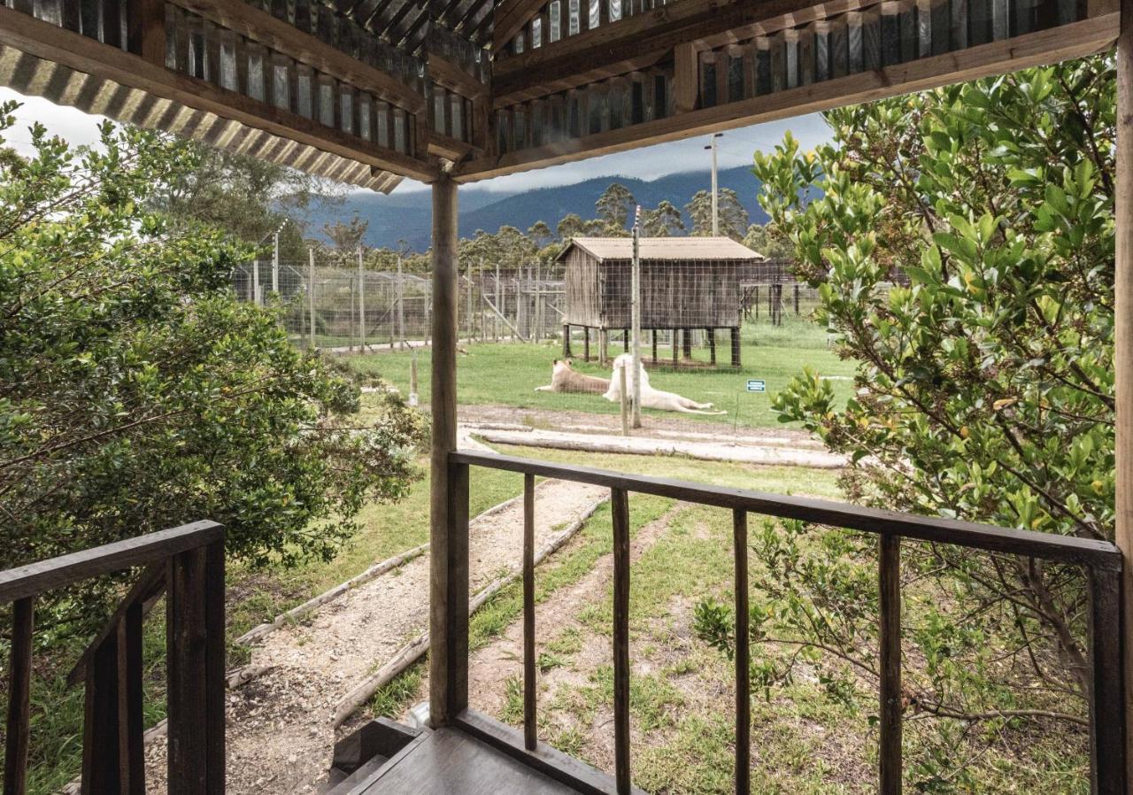 Tenikwa Wildlife Centre & Spa Plettenberg Bay Luaran gambar
