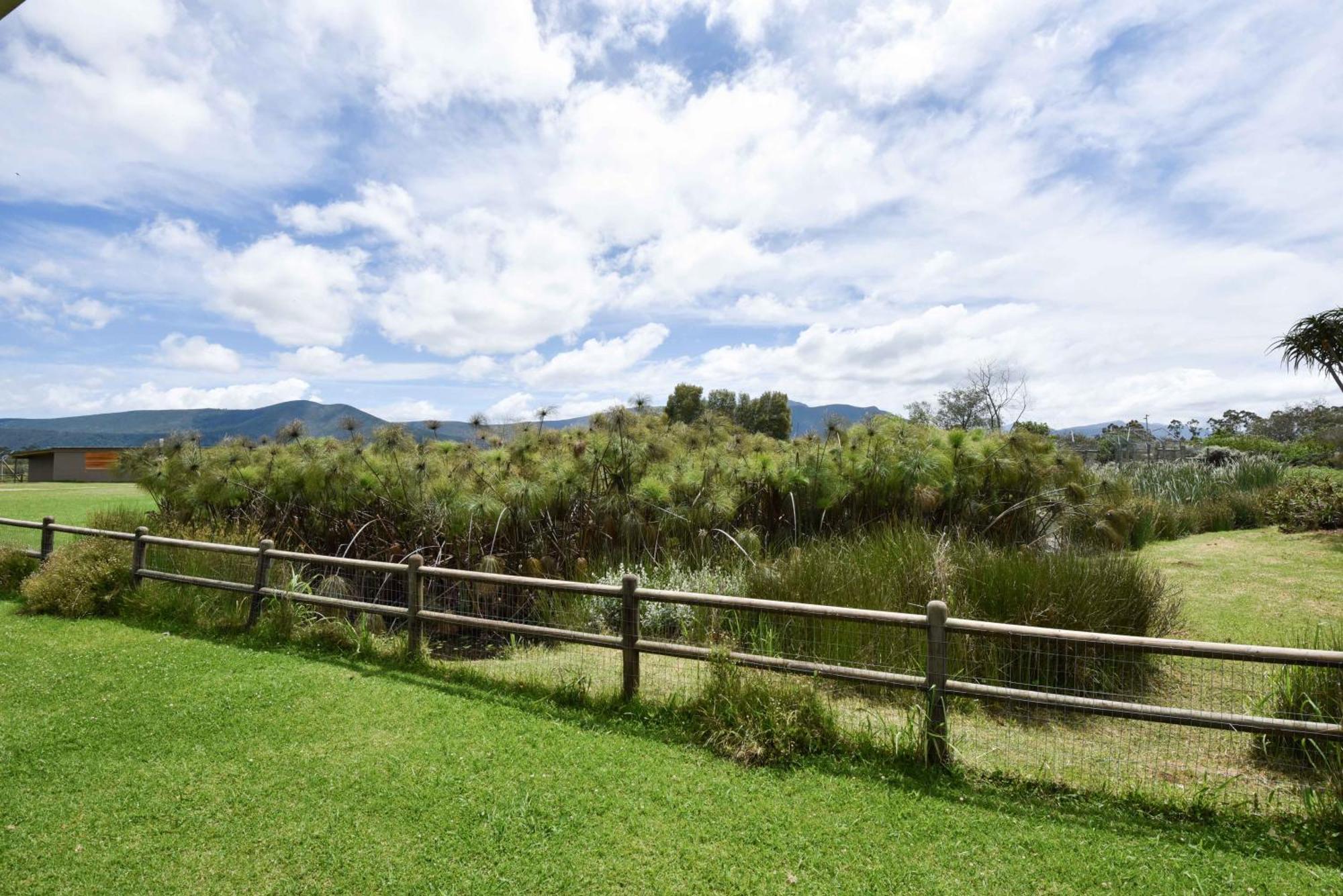 Tenikwa Wildlife Centre & Spa Plettenberg Bay Luaran gambar