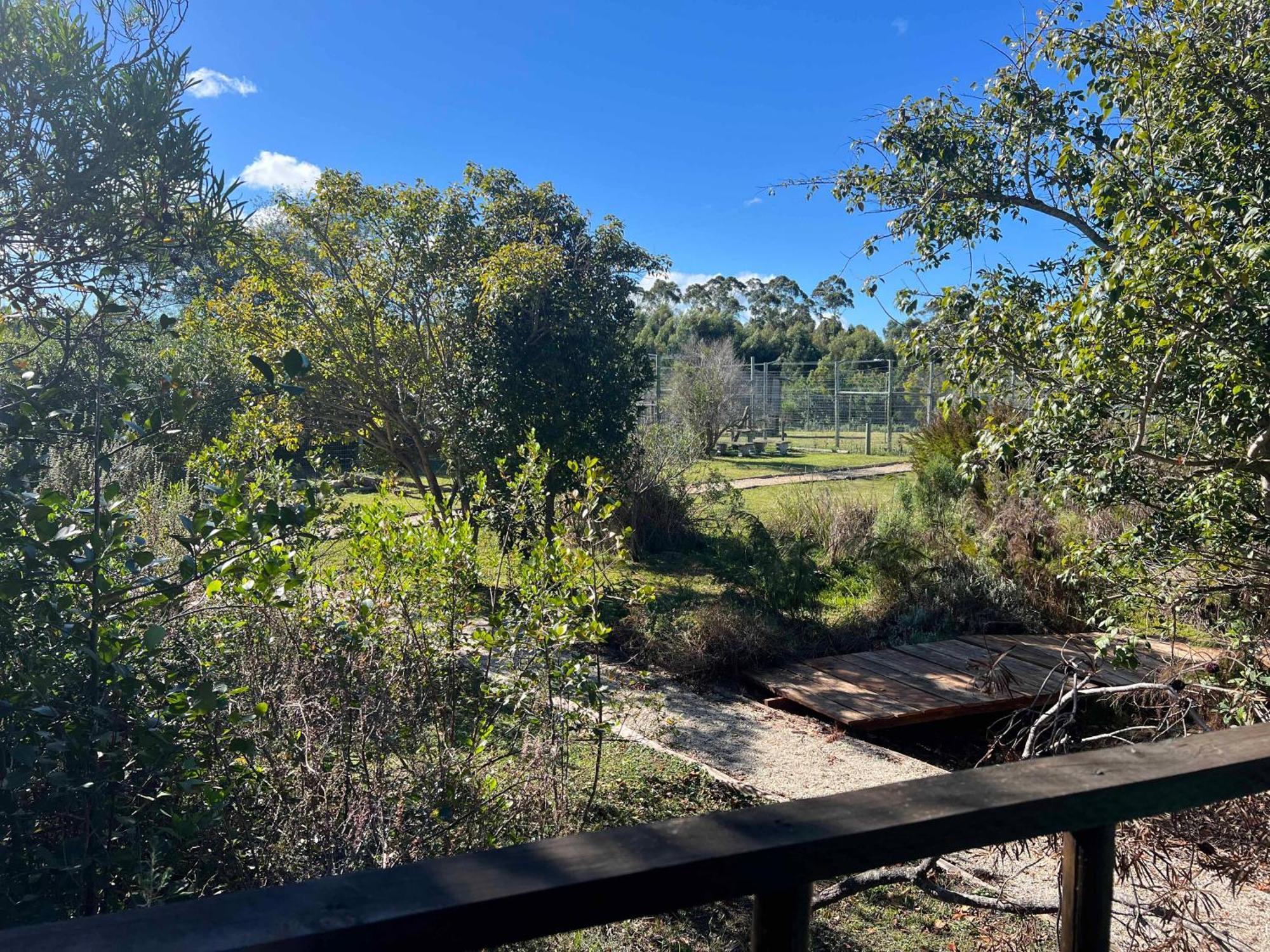 Tenikwa Wildlife Centre & Spa Plettenberg Bay Luaran gambar