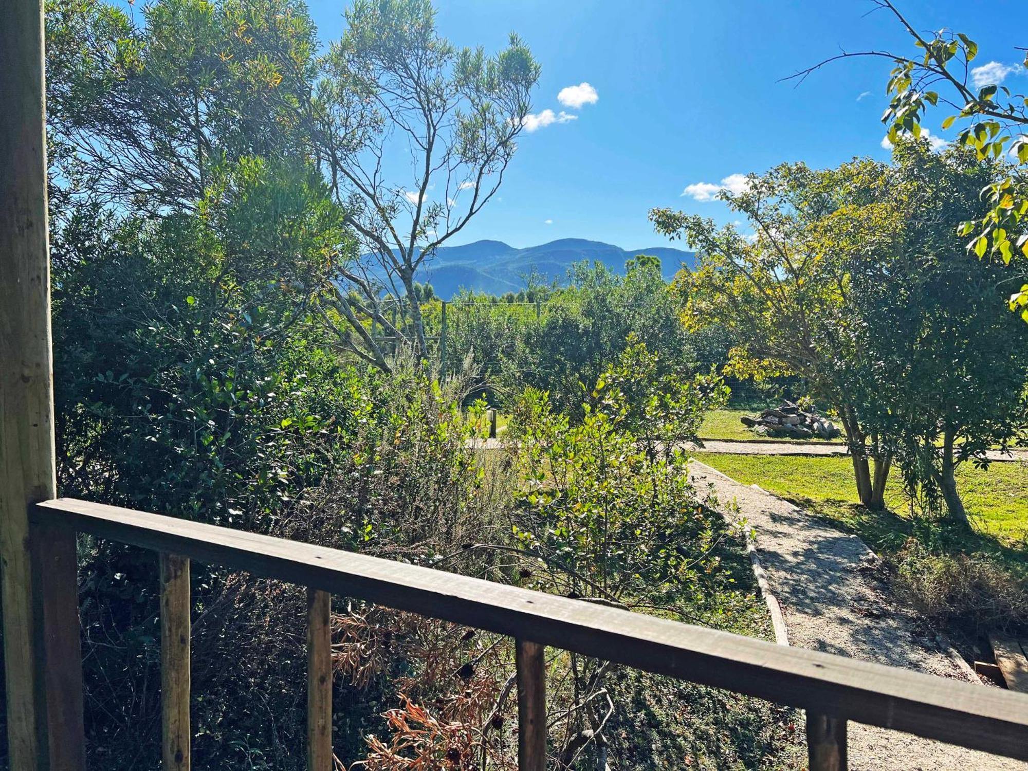 Tenikwa Wildlife Centre & Spa Plettenberg Bay Luaran gambar